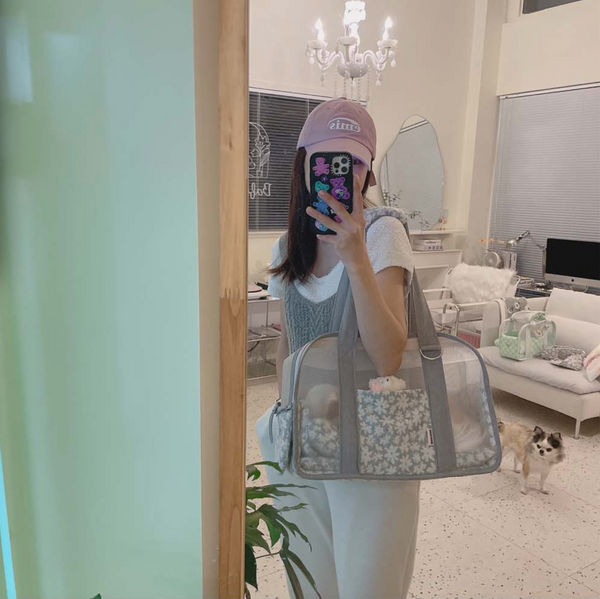 Ajibag Cube See-Through