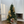 Load image into Gallery viewer, Gosomi Cloak
