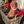 Load image into Gallery viewer, Gosomi Cloak
