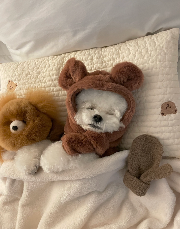Eco Fur Bear Hoodie