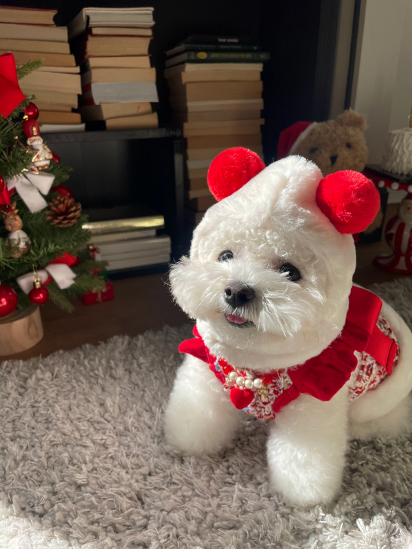 Snow Bell Dress
