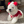 Load image into Gallery viewer, Snow Bell Dress

