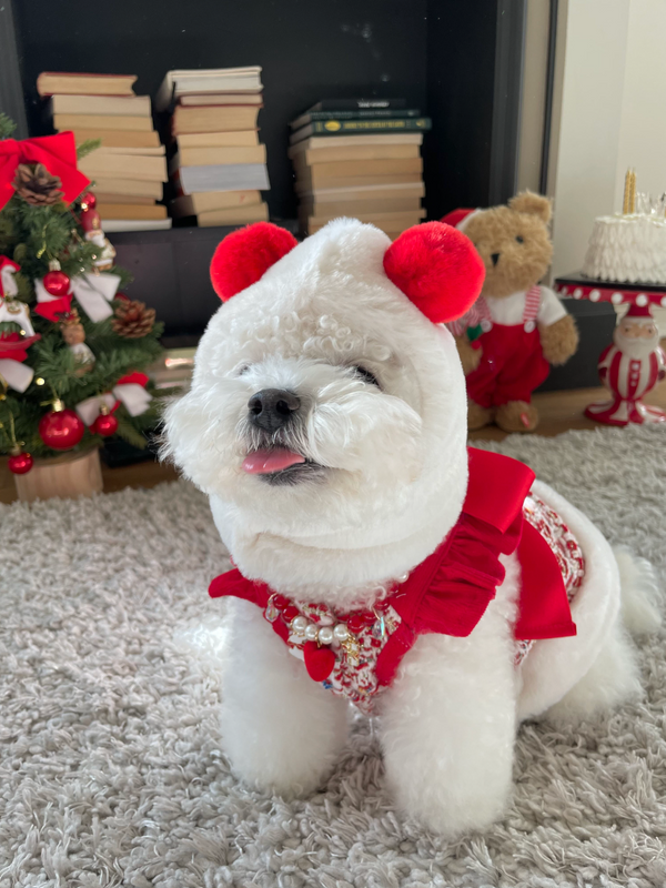 Snow Bell Dress
