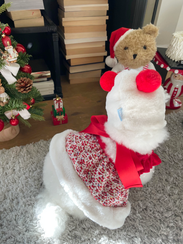 Snow Bell Dress