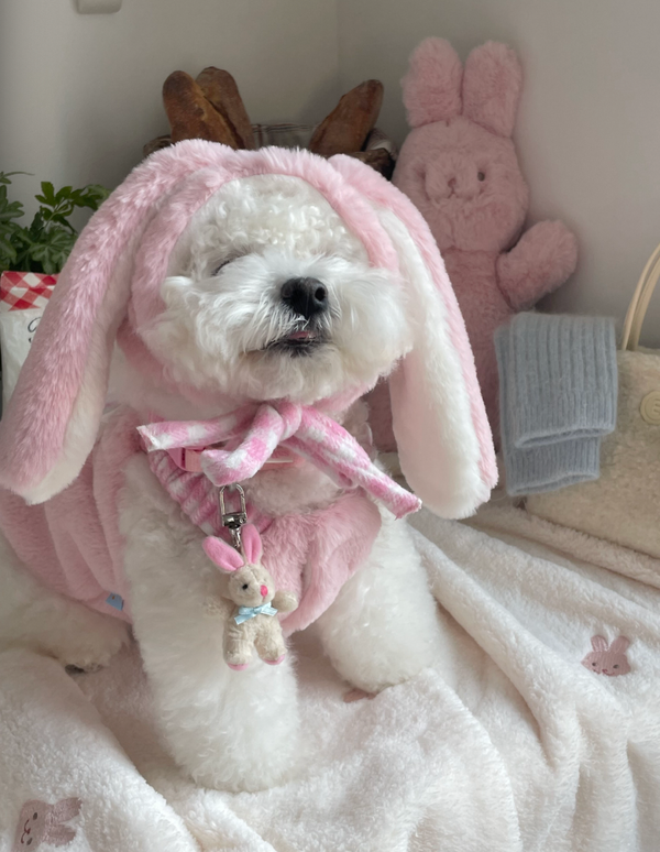 Love Bunny Look