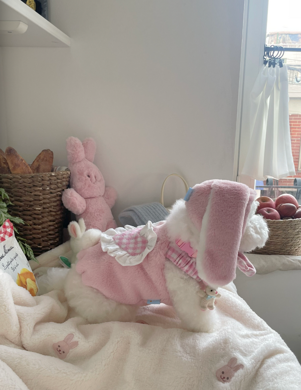 Love Bunny Look