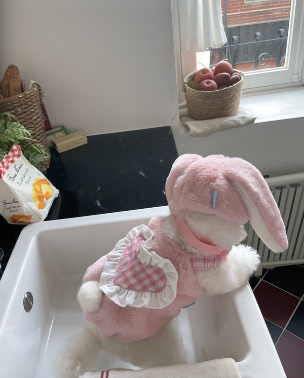 Love Bunny Look