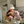 Load image into Gallery viewer, Love Bunny Look
