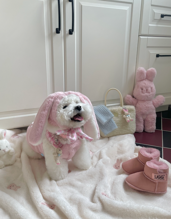 Love Bunny Look