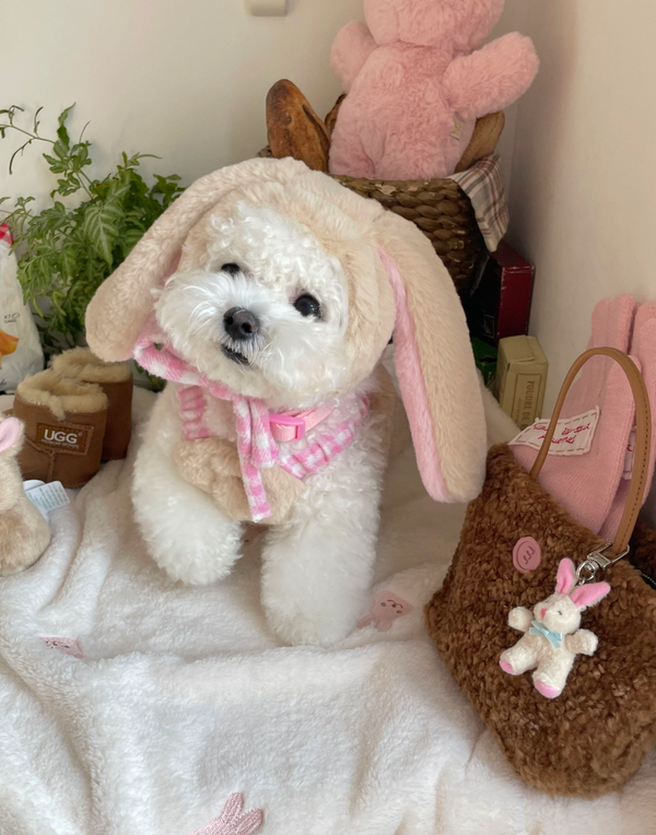 Love Bunny Look