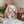 Load image into Gallery viewer, Love Bunny Look
