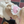 Load image into Gallery viewer, Love Bunny Look
