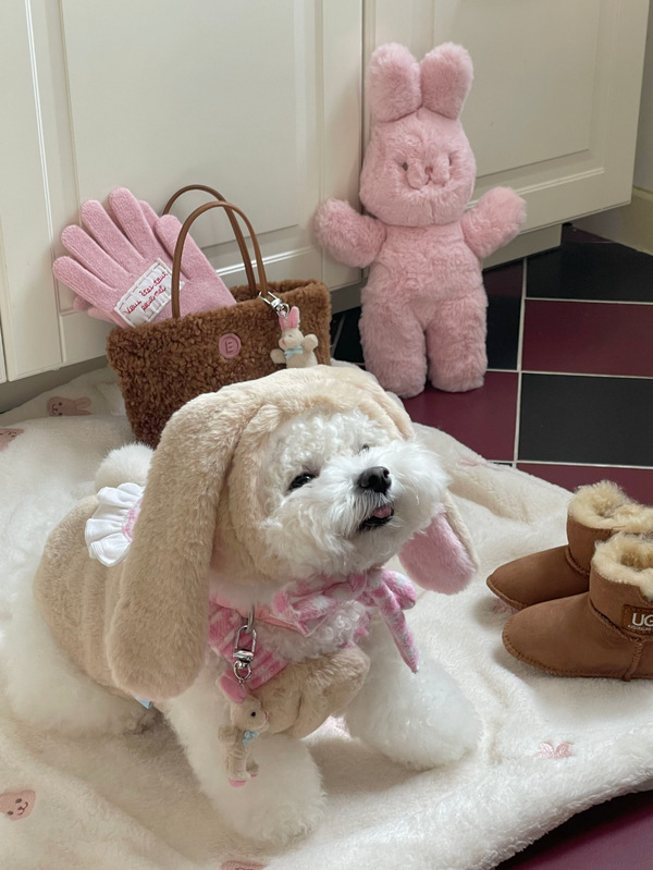 Love Bunny Look