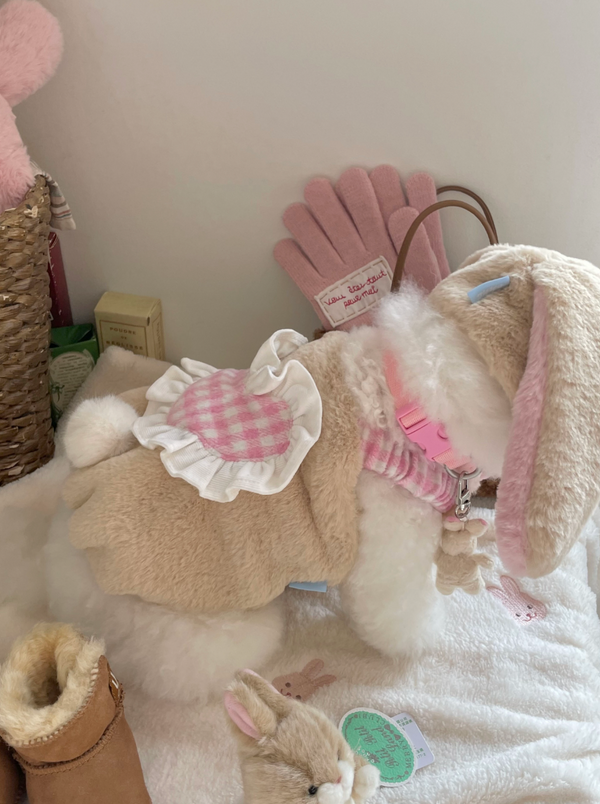 Love Bunny Look