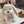 Load image into Gallery viewer, Love Bunny Look
