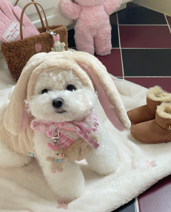 Love Bunny Look