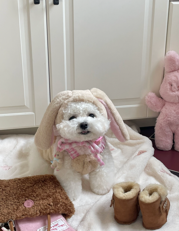 Love Bunny Look