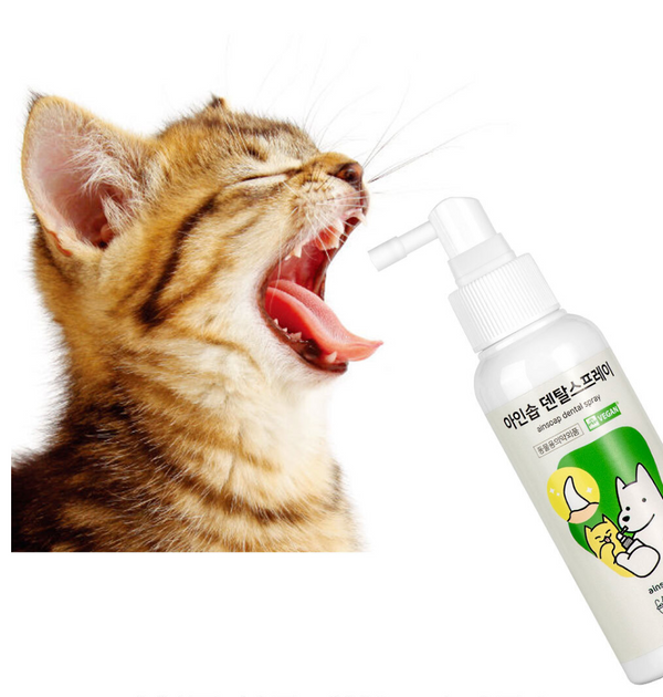 Dental Spray