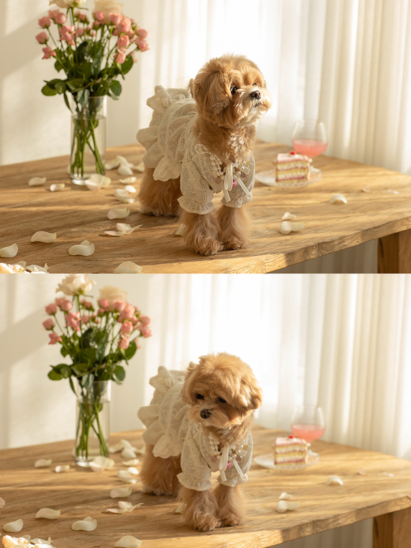 Royal Milk Tea Lace Blouse