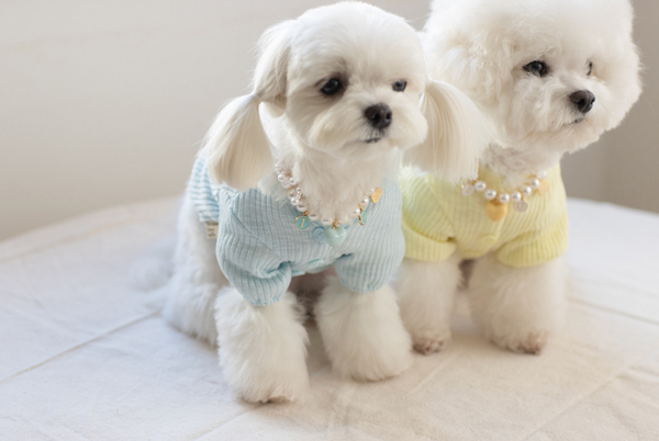 I Love Jelly Pearl Ribbon Necklace