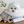 Load image into Gallery viewer, Bongbong Bag
