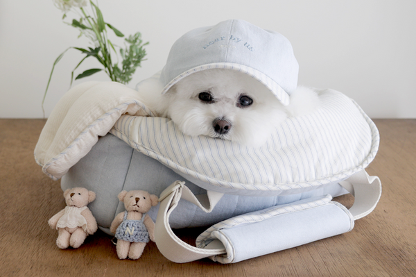 Bongbong Bag