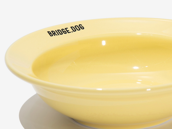Mini Dish - Baby Yellow (Glossy)