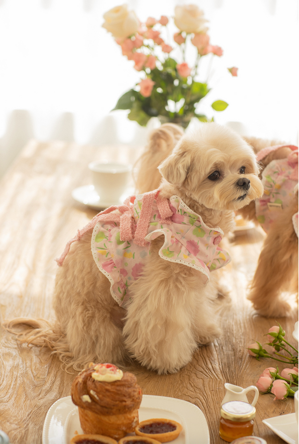 Strawberry Omelet Bolero