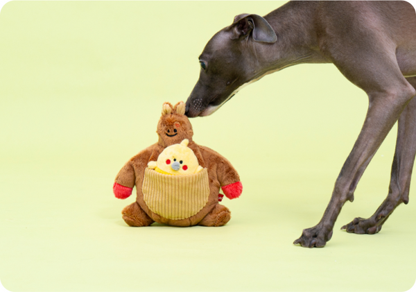 Bulk Up Kangaroo Hunting Toy