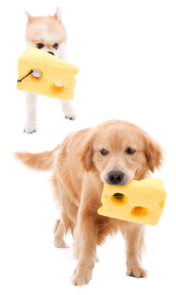 Cheese Hunting Toy