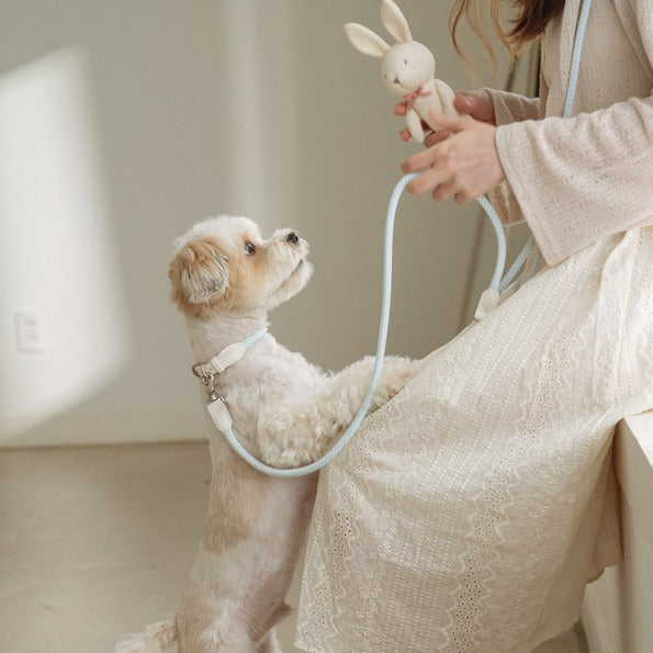 Multi Leash - Sub