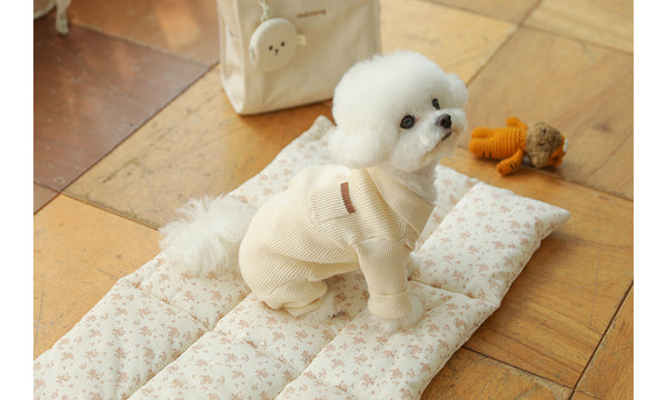 Collar Knit All In One