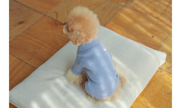 Collar Knit All In One