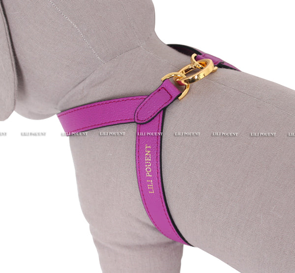 Purple Harness