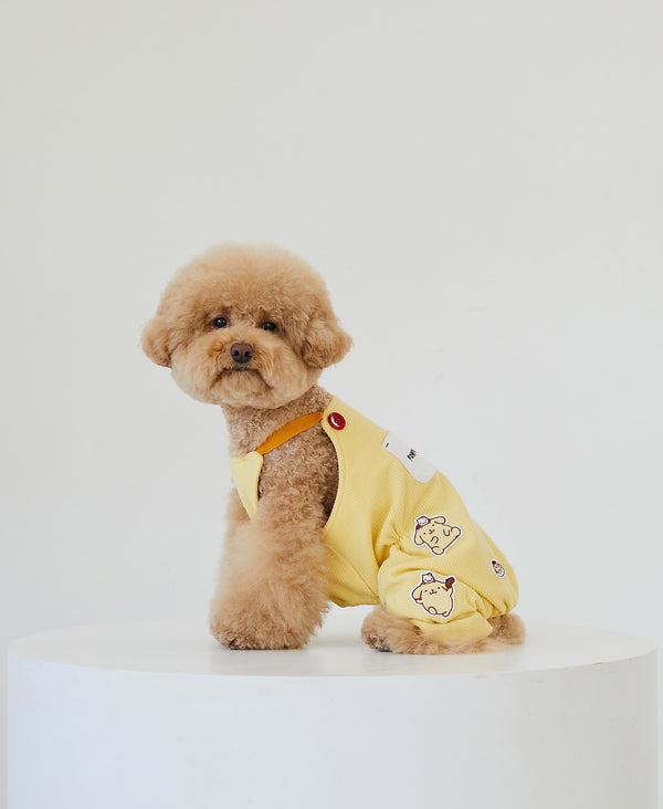 Pompompurin All In One