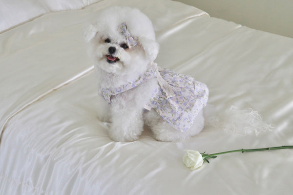 Summer Garden Dress