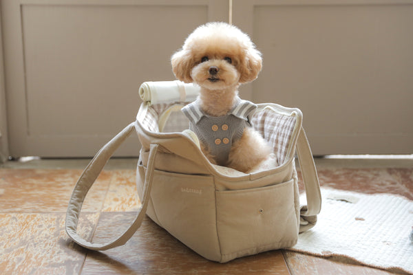 Check Two In One Shoulder Bag