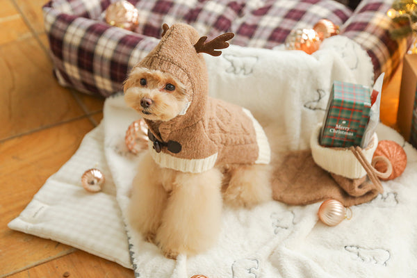Christmas Knit Poncho Set