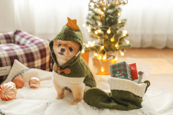 Christmas Knit Poncho Set