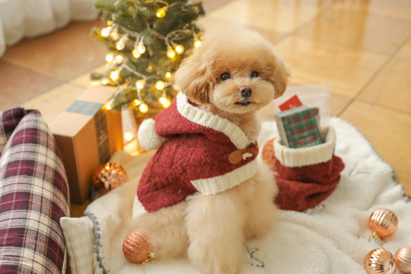 Christmas Knit Poncho Set