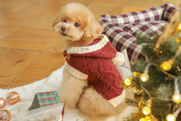 Christmas Knit Poncho Set