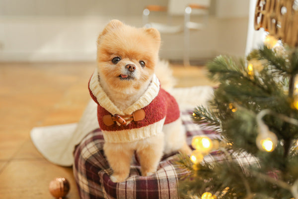 Christmas Knit Poncho Set