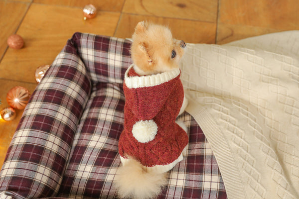 Christmas Knit Poncho Set