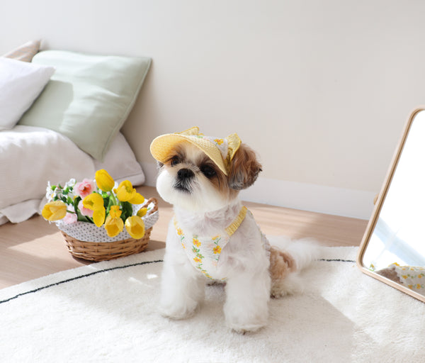 Daisy Garden Top