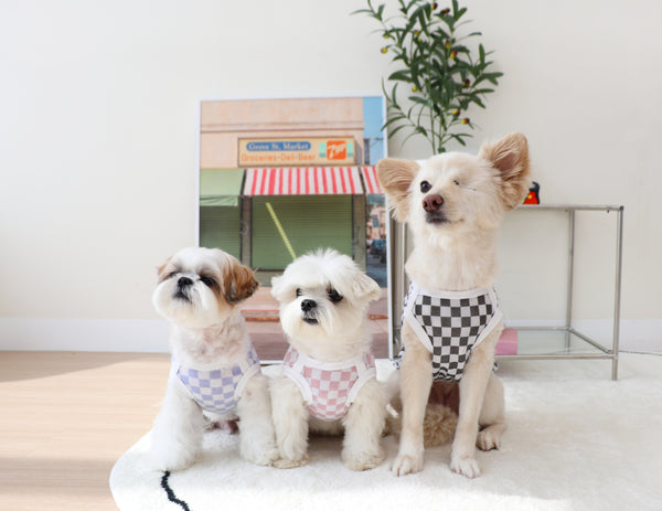 Checkerboard Top