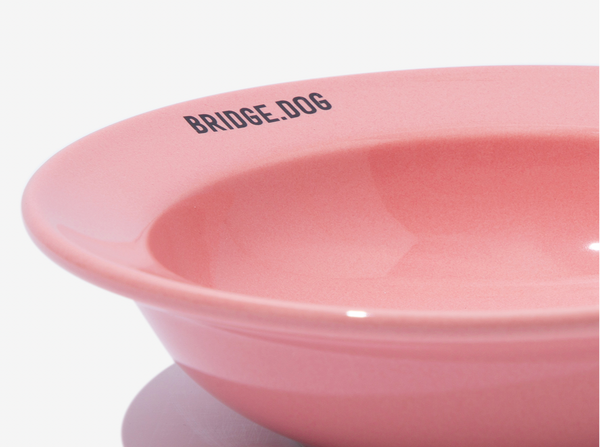 Mini Dish - Coral Pink (Glossy)
