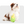 Load image into Gallery viewer, Second Corn Friends Toy

