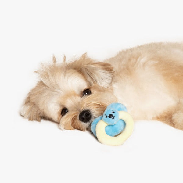 Baby Pacifier Toy