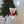 Load image into Gallery viewer, Christmas Bear Cape
