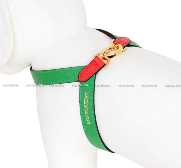 Red/Green Harness